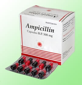 Ampicillin (Penicillin)